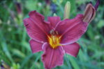 DSC07910.JPG