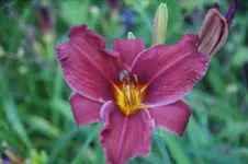 DSC07910.webp