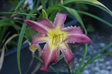 DSC07912.JPG