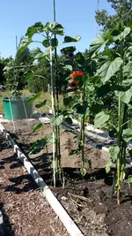 2019-06-29 10.37.42.webp