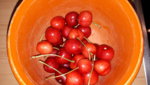 20190629_134544.jpg