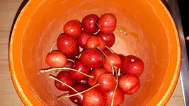 20190629_134544.webp
