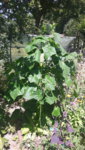 20190629_134836.jpg
