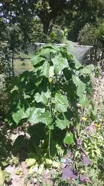 20190629_134836.webp