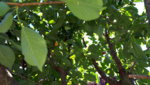 20190629_142553.jpg