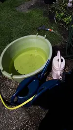 20190629_142230.webp