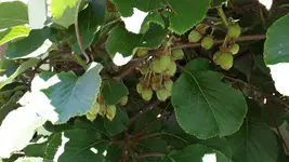 20190629_144717.webp