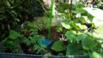 20190629_144658.jpg