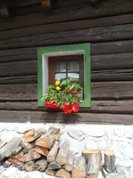 SAM_6664.webp