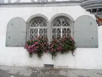 SAM_7058.webp