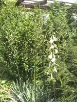 BILD1219.webp