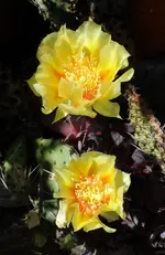 SAM_1023.webp