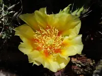 SAM_1024.webp