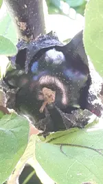 20190630_084518.webp