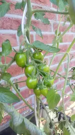 20190629_190748.webp