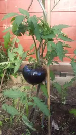 20190629_190821.webp