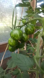 20190629_190914.webp