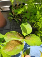 20190630_095917_compress94.jpg