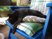 P1020630.webp