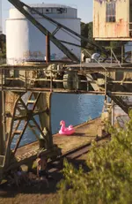 Flamingo.jpg
