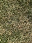 4FEF2B93-AC9D-4493-89DF-C5F0ABE8DFD1.jpeg