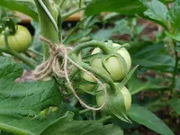 20190630_170835.webp