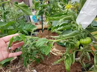 20190630_170810.webp