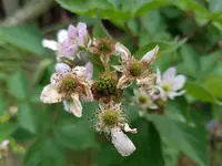 20190630_170925.webp
