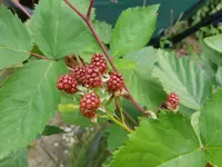 20190630_170918.webp