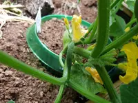 20190630_170856.webp