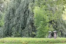 IMG_6078.webp