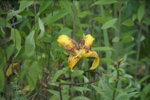 DSC07936.JPG