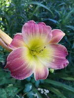 IMG_20190630_101213.webp