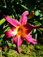 IMG_20190630_101313.webp