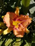 IMG_20190630_101322.jpg