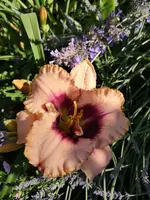 IMG_20190630_101347.webp