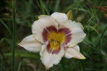 DSC07930.JPG