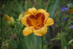 DSC07932.JPG