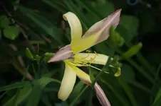 DSC07934.webp