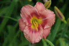 DSC07935.JPG