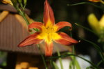 DSC07940.JPG