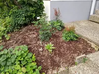 20190701_055217_resized.webp