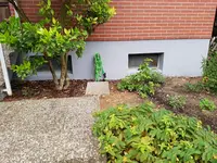 20190701_055220_resized.jpg