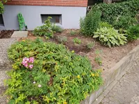 20190701_055227_resized.webp