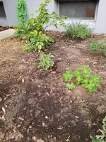 20190701_055249_resized.webp
