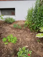 20190701_055251_resized.webp