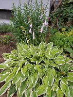 20190701_055316_resized.jpg