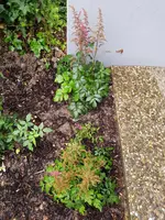 20190701_060526_resized.webp