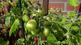 20190623_171851.webp