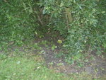 BILD1220.JPG